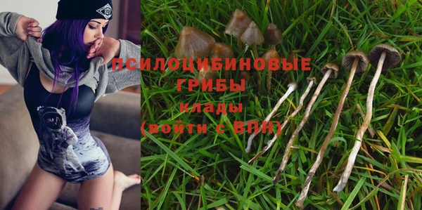 a pvp Балабаново