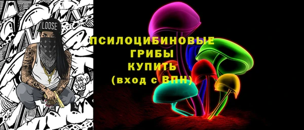 прущие грибы Балахна