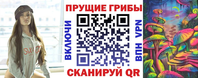 Галлюциногенные грибы GOLDEN TEACHER  Купить  Суздаль 
